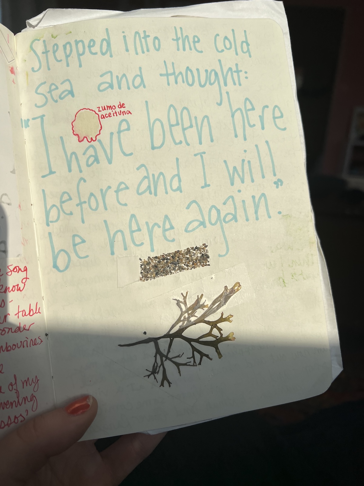 A hand holds an open journal page with handwritten text, a small seaweed branch, a sand strip, and a sticker. Sunlight casts shadows across the page.