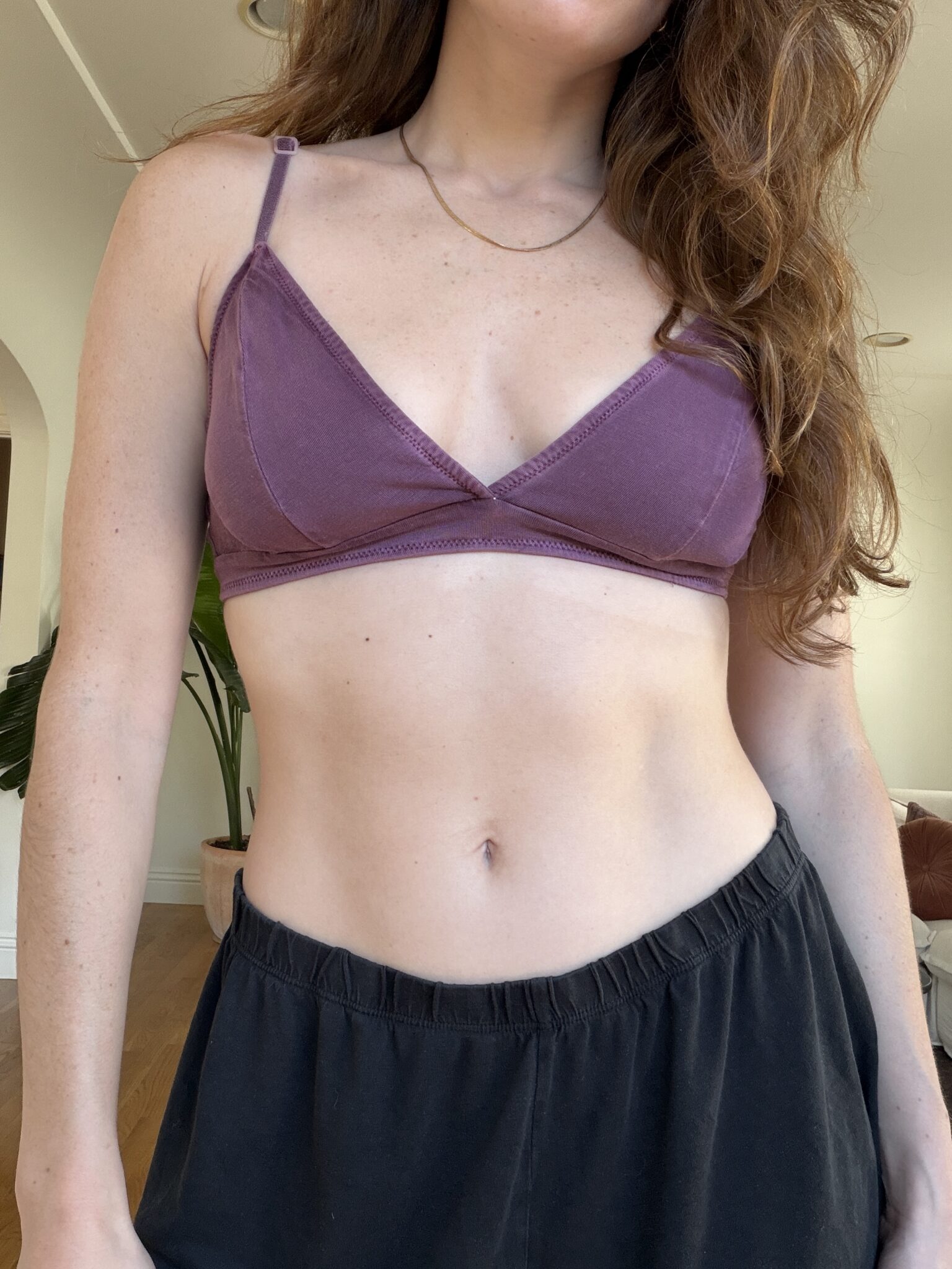 Woman wearing a purple bralette and black pants standing indoors with a plant and wooden floor in the background.