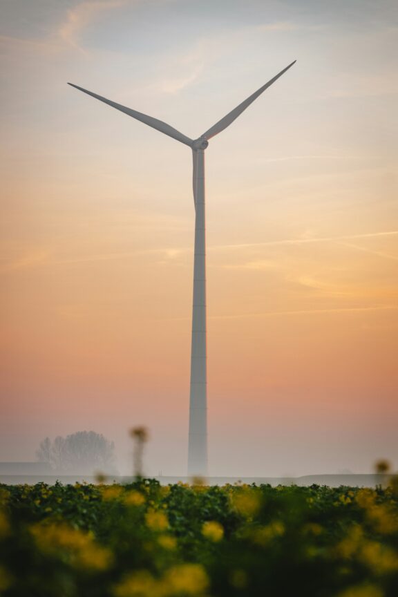 A wind turbine stands in a field with yellow flowers, silhouetted against a hazy sunset sky.