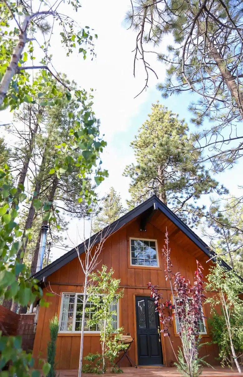 A small wooden cabin with a black door and windows, surrounded by green trees and plants, under a blue sky with light clouds.